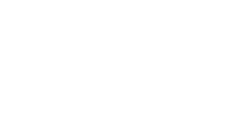 Line Icon