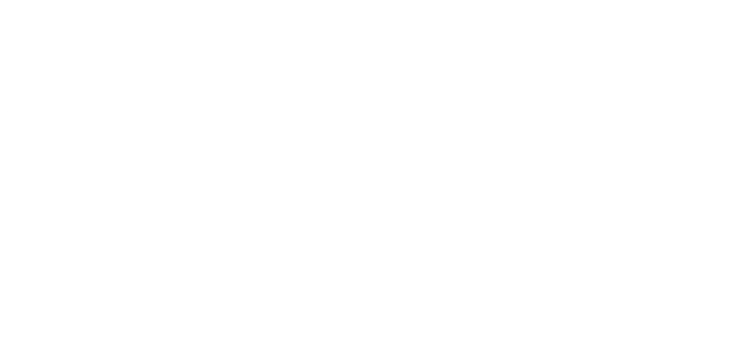 Line Icon