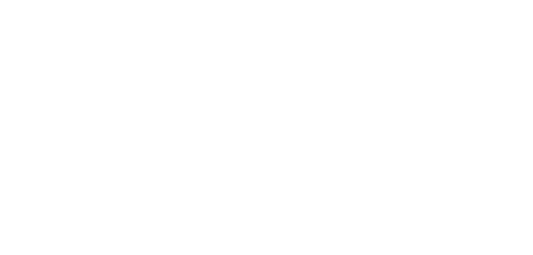 Line Icon
