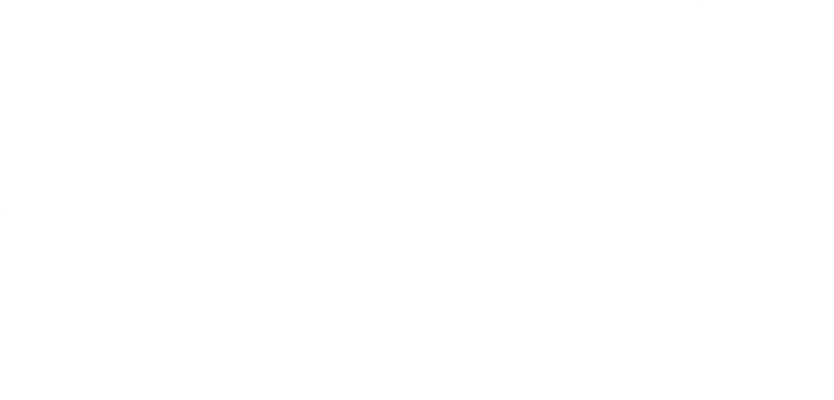 Line Icon