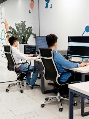 Design Development