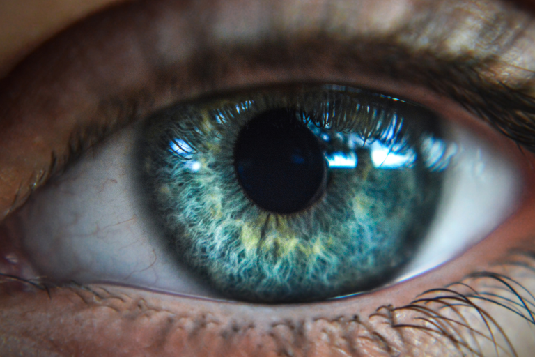 Visualization